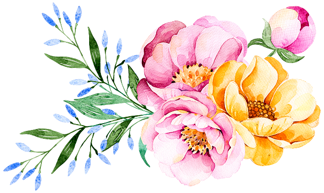 Png素材点击图片可下载 植物花卉植物花纹抽象花朵抽象花卉信纸背景