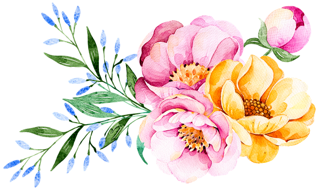 Png素材点击图片可下载 植物花卉植物花纹抽象花朵抽象花卉信纸背景