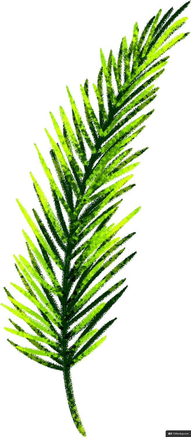 针叶松枝装饰树枝绿色枝条手绘圣诞节元素模板免扣png
