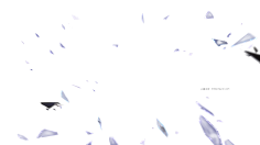 水煮胡萝卜采集到氛围点缀
