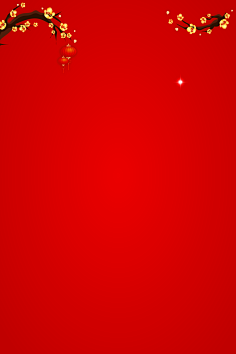 中国红背景图-花瓣网|陪你做生活的设计师 超酷炫彩科技线条红色