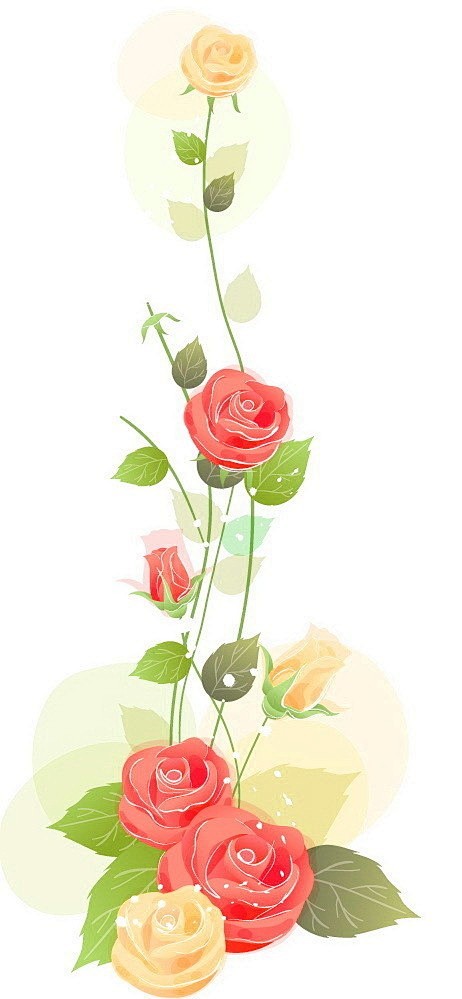 aria-珈慧从散去转采于2016-11-17 15:07:18玫瑰插画aria-珈慧该采集