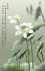 桃花平子采集到与佛有关