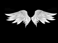 素材翅膀