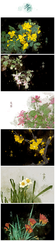 桃花岛主大茶邪采集到秋冬