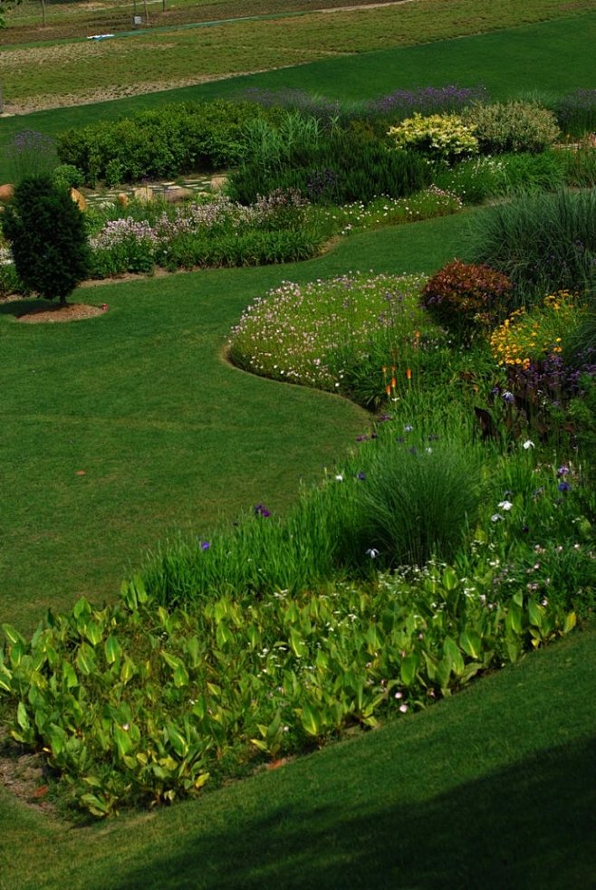 辰山植物园的旱溪花境