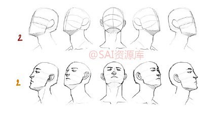 com 系統的人物速寫頭部透視結構頭髮五官知識哦需要的趕緊拿走吧