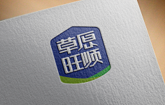 楚昭韶华采集到平面字体