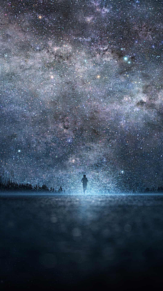 HaleyComet采集到星月夜