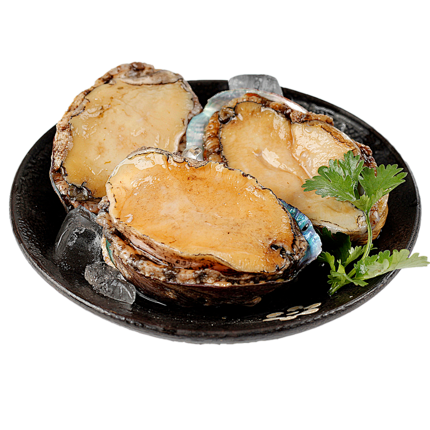 鲍鱼鲜活8头鲍鱼大个新鲜海捕超大野生鲍鱼海鲜水产特大活体鲍鱼tmall