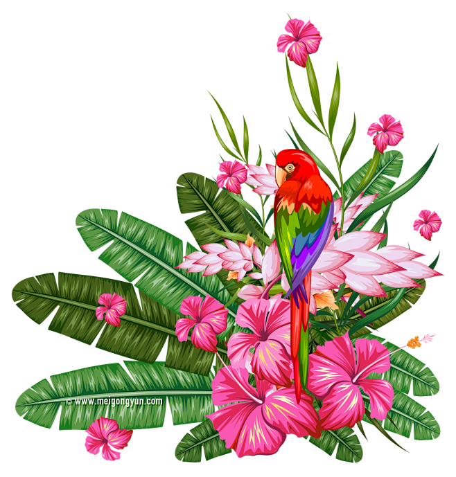 美工云 Cartoon Flower Bird卡通植物鲜花鸟类矢量eps下载 Png