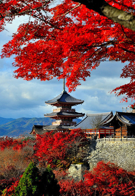 京都 清水寺三重塔