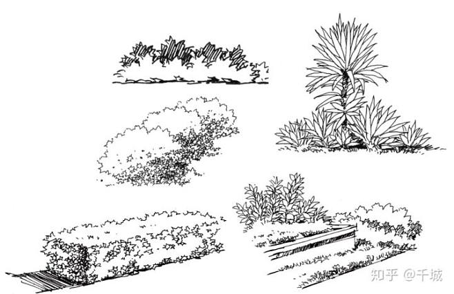 景观灌木线稿法和小景组团今天更新两篇现在讲讲景观中一些灌木线稿的