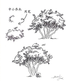 朵境采集到X 绘画原理