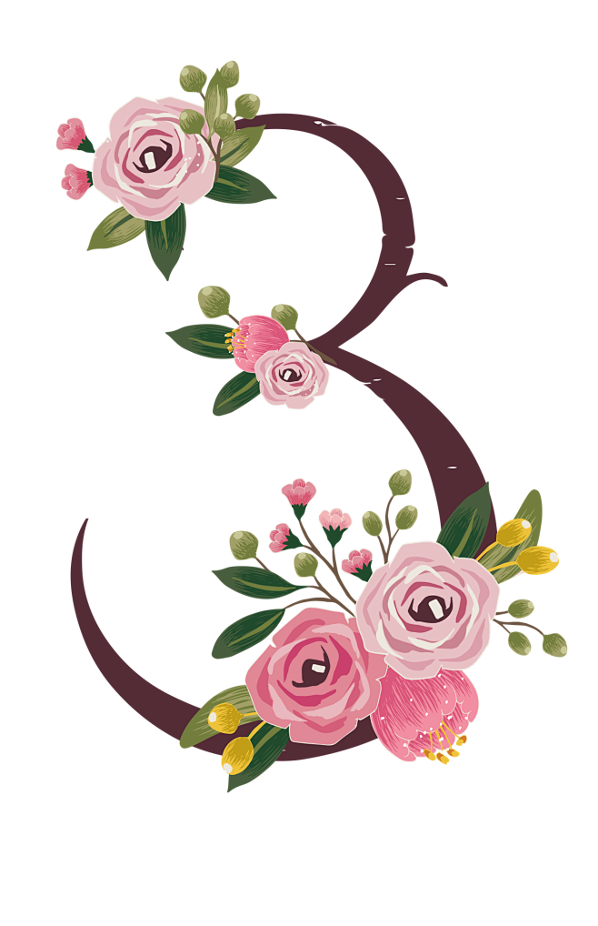 png彩铅鲜花文字玫瑰数字设计创意花朵装饰艺术字阿拉伯数字3
