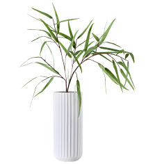 青红造了个白`采集到植物-花