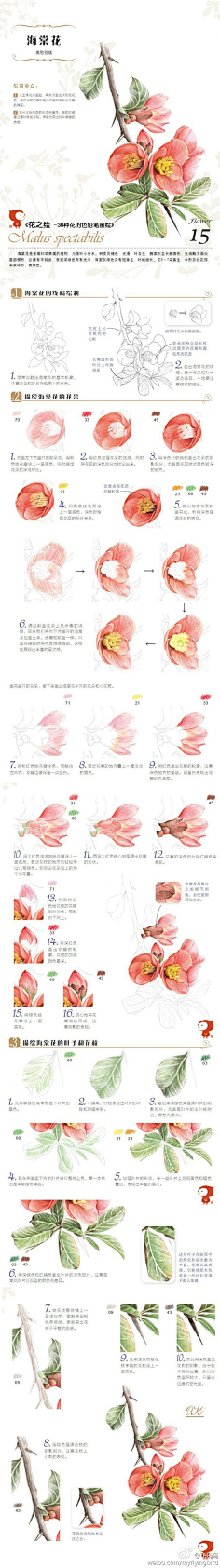 瑾喻采集到彩铅教程(静物)