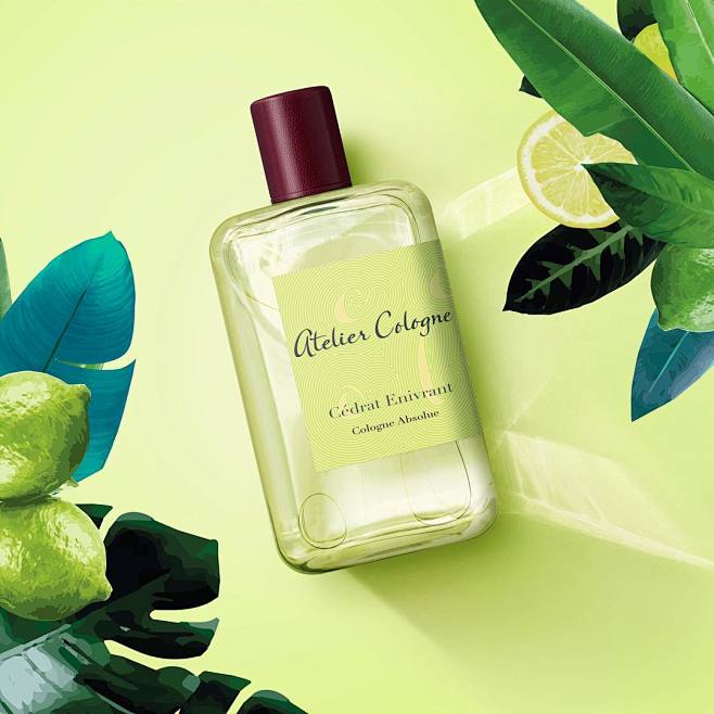 (@ateliercologne) - Insstar Instagram网页版