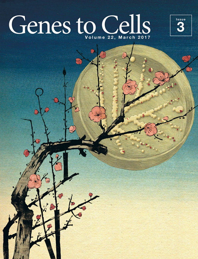 日本分子生物学会杂志 67676767,封面设计以浮世绘为主题