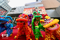 尽洗·铅华采集到舞狮