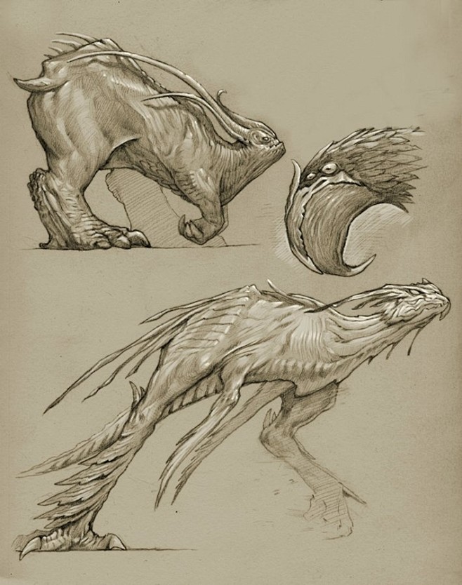 Creatures sketches