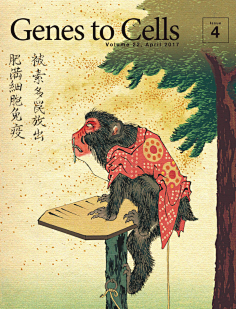 MY麦子采集到封面设计