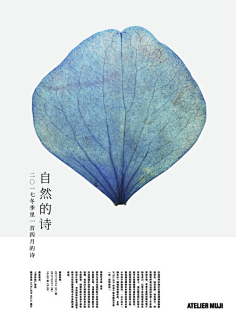 JBF采集到Graphic Artist Designer