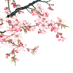 __葉○采集到花草