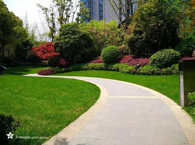 园路转弯处植物组团