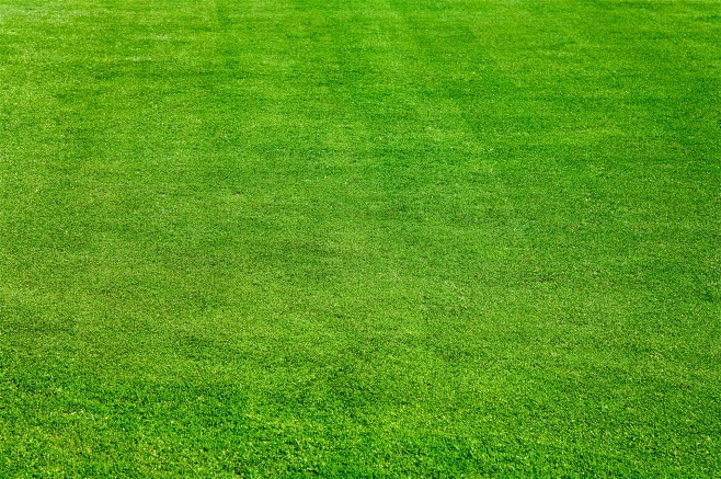 绿色清新足球场草地背景素材1920电商设计素材