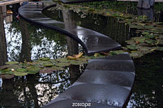 zoscape采集到水景设计意向图