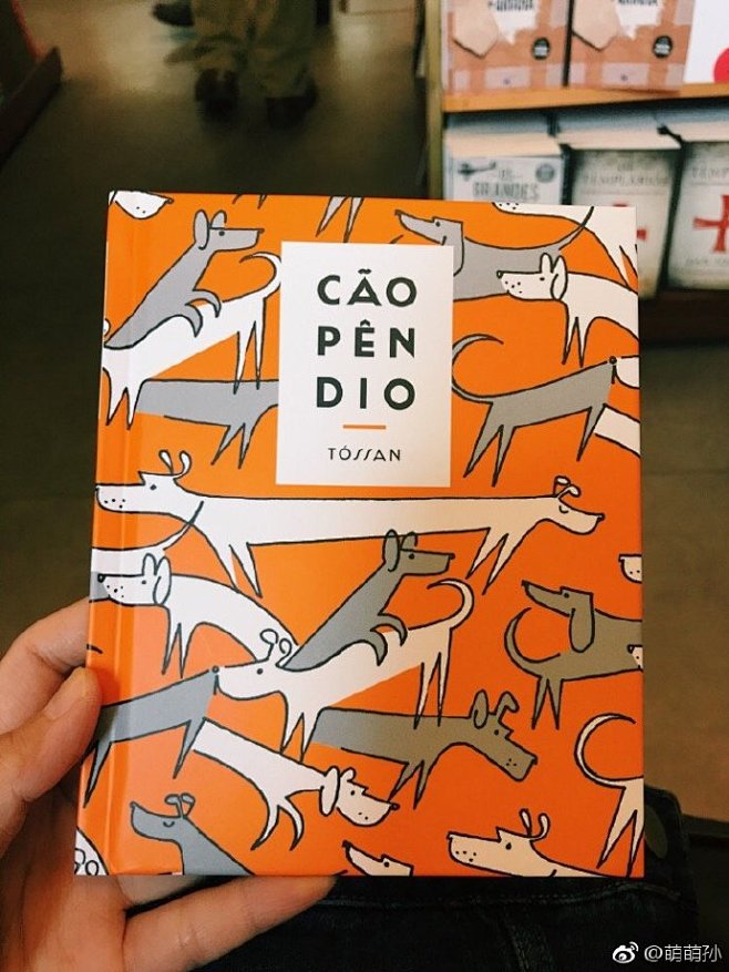 最近喜欢的插画师catarina sobral 就是葡萄牙人