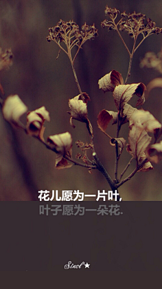 -苏陵澜采集到A word-