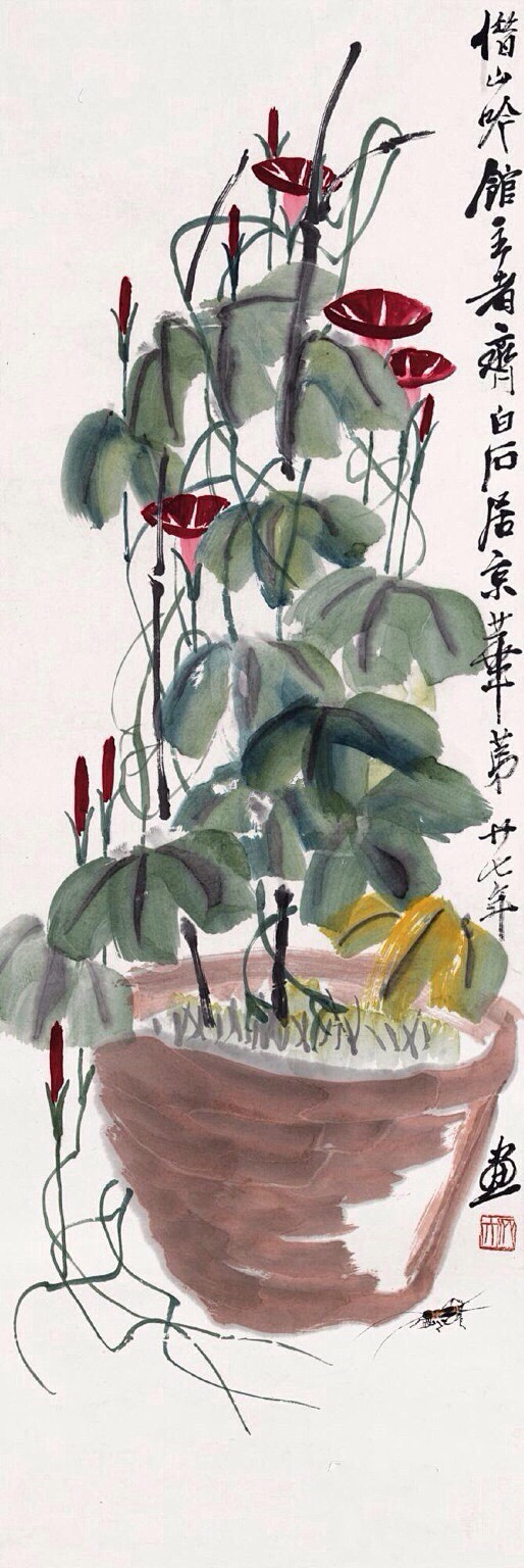 齐白石笔下的牵牛花67676767