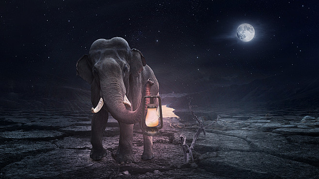 ?¤§è±??????? ?μ·??￥