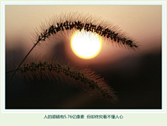 光影交错一瞬间采集到哲言哲语