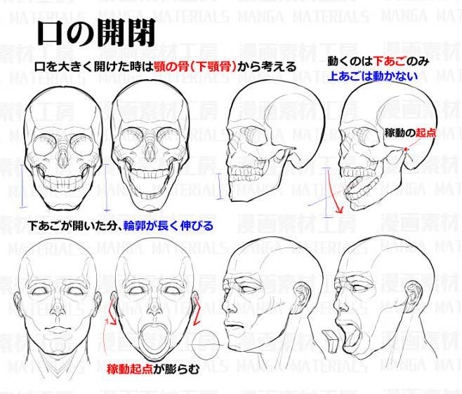 表情の作り方 目と口の表情 表情筋 骨格の考え方 漫画素材工房のイラスト