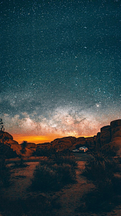 HaleyComet采集到星月夜