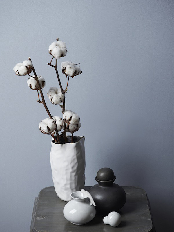 棉花-花瓣网|陪你做生活的设计师 | 原创作品:棉花束