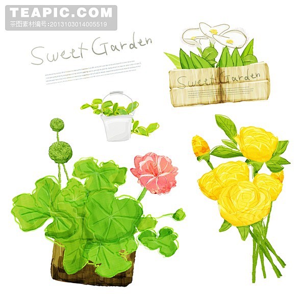 精美花卉植物盆栽插画图片