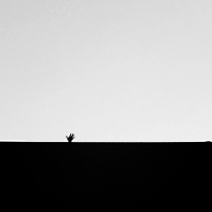 Michaeeel采集到Minimalism.