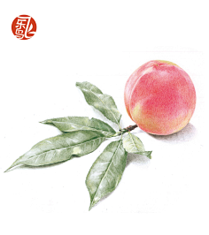 一定是你会错意采集到圆珠笔画