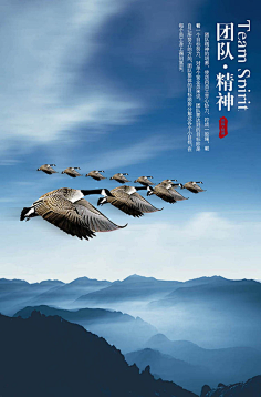 北坤人模板采集采集到精品海报