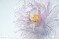 来自荣Sakae，日本成田市的一位艺术家，擅长手工制作各种各样精致美丽的发簪。荣Sakae制作了一系列包括莲花、牡丹、紫阳花、月下美人、白梅、樱花等在内的花朵发簪。所有这些拥有着逼真形态、极富质感花朵其实全都采用塑料制作，仅在花朵边缘裹上细细的黄铜线作为衬托。根据不同的复杂性，一支花朵发簪制作时间约费时3-30天。