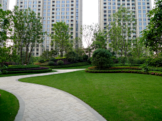 入冬阳光采集到植物造景