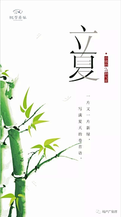 左耳进右耳出采集到节日节气