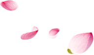 -逆流而上-采集到元素