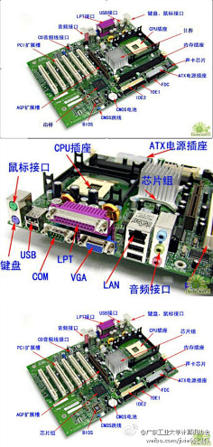 跃迁的黑白熊采集到信息技术百科