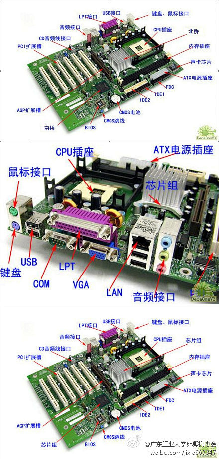 跃迁的黑白熊采集到信息技术百科