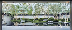 入冬阳光采集到植物造景
